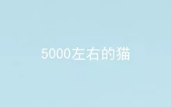 5000左右的猫