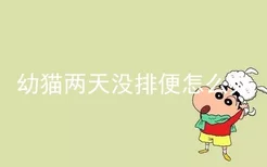 幼猫两天没排便怎么办