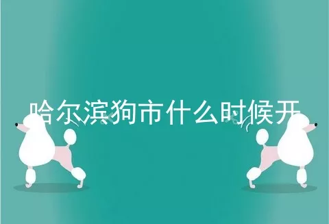 哈尔滨狗市什么时候开