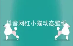 抖音网红小猫动态壁纸