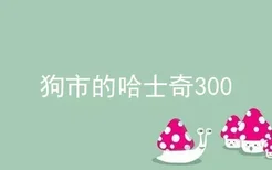 狗市的哈士奇300