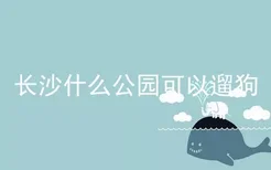 长沙什么公园可以遛狗