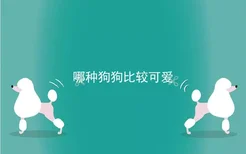 哪种狗狗比较可爱