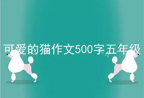 可爱的猫作文500字五年级