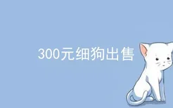 300元细狗出售