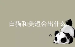 白猫和美短会出什么