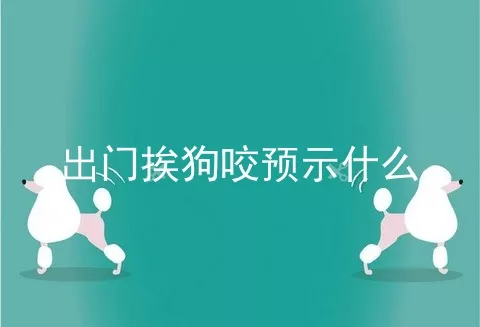 出门挨狗咬预示什么