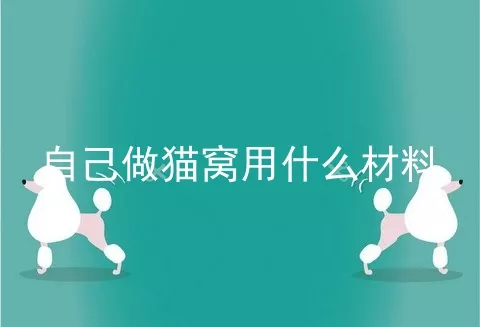 自己做猫窝用什么材料