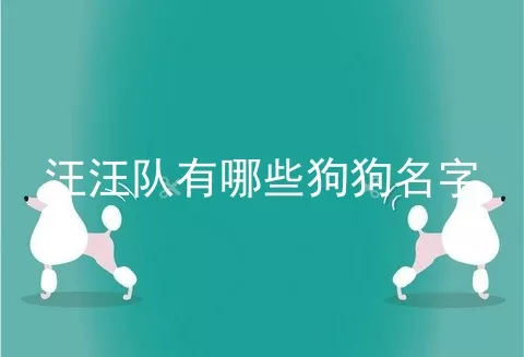 汪汪队有哪些狗狗名字