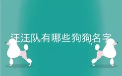 汪汪队有哪些狗狗名字