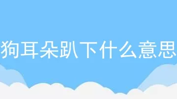 狗耳朵趴下什么意思