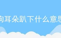 狗耳朵趴下什么意思