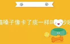 猫嗓子像卡了痰一样叫声沙哑