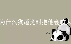 为什么狗睡觉时抱他会咬人