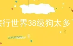 旅行世界38级狗太多了