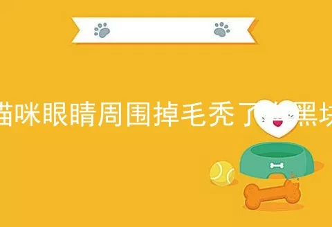 猫咪眼睛周围掉毛秃了有黑块