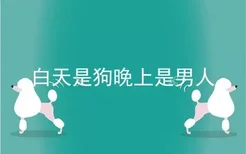 白天是狗晚上是男人