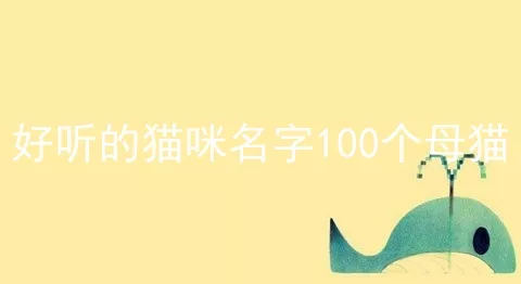 好听的猫咪名字100个母猫