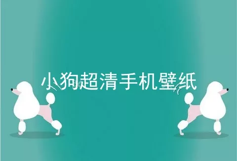 小狗超清手机壁纸