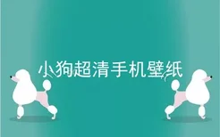 小狗超清手机壁纸