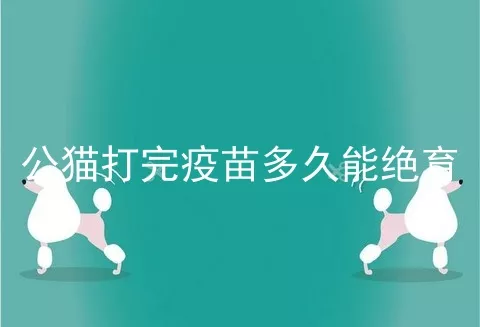 公猫打完疫苗多久能绝育