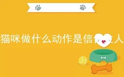 猫咪做什么动作是信任主人