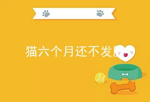 猫六个月还不发腮