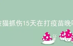 被猫抓伤15天在打疫苗晚吗