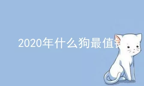 2020年什么狗最值钱