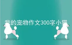 我的宠物作文300字小猫