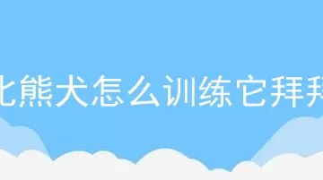 比熊犬怎么训练它拜拜