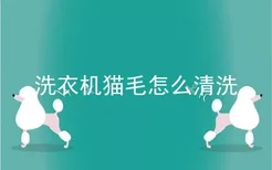 洗衣机猫毛怎么清洗