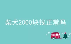 柴犬2000块钱正常吗