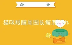 猫咪眼睛周围长癣怎么办