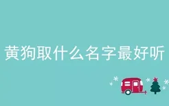 黄狗取什么名字最好听