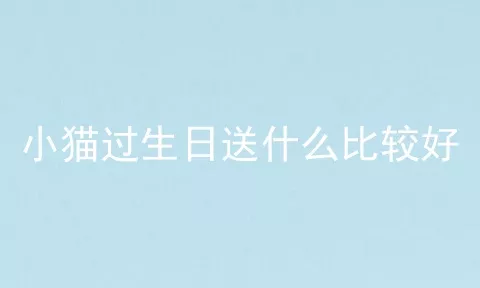 小猫过生日送什么比较好