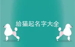 给猫起名字大全