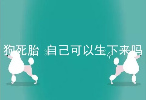 狗死胎 自己可以生下来吗