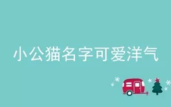 小公猫名字可爱洋气