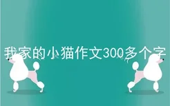 我家的小猫作文300多个字