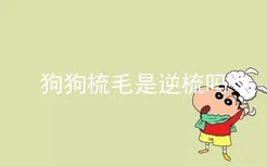 狗狗梳毛是逆梳吗