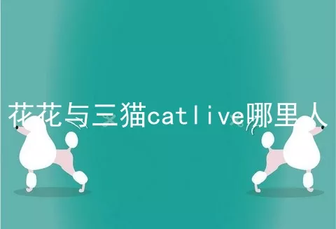 花花与三猫catlive哪里人