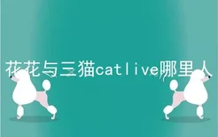 花花与三猫catlive哪里人