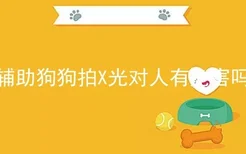 辅助狗狗拍X光对人有危害吗