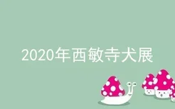 2020年西敏寺犬展