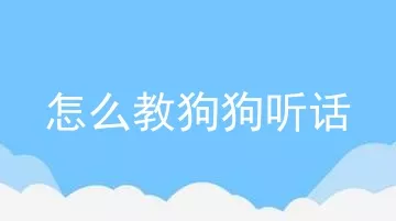 怎么教狗狗听话