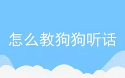 怎么教狗狗听话