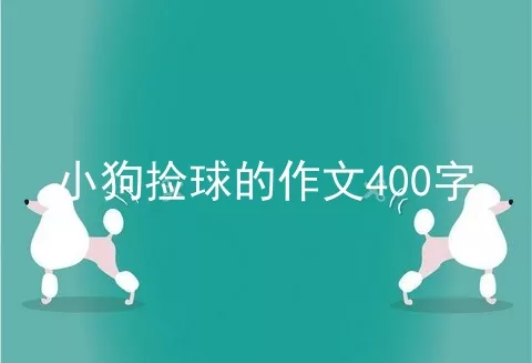 小狗捡球的作文400字