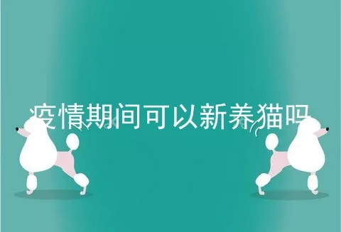 疫情期间可以新养猫吗