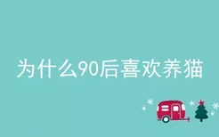 为什么90后喜欢养猫